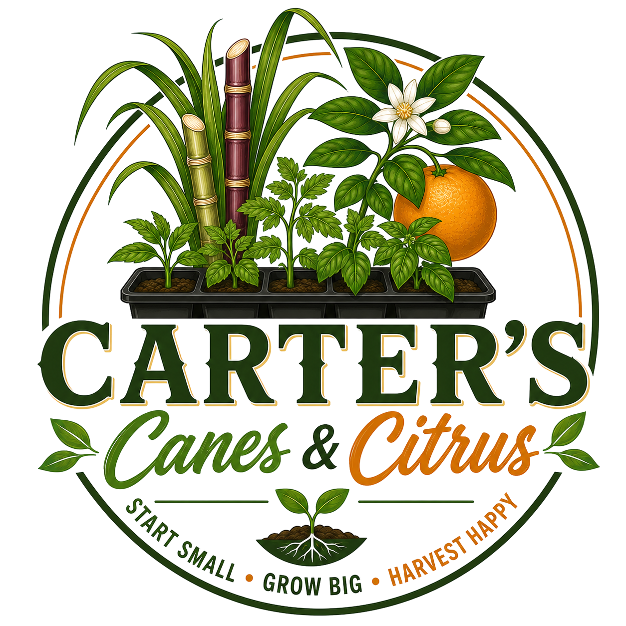 ccc-logo